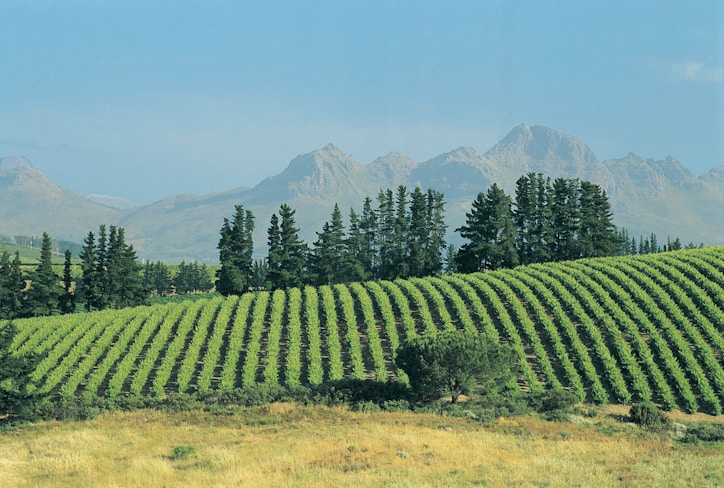 Bloemfontein